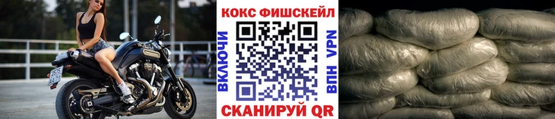 COCAIN Fish Scale цена Ногинск