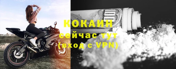 дмт Костерёво