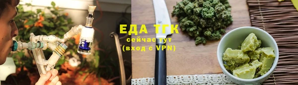 индика Коряжма