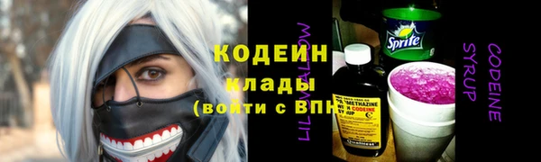 дмт Костерёво