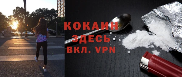 дмт Костерёво