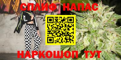 дмт Кинель