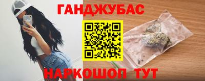 гидра Кингисепп