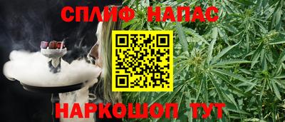 гидра Кингисепп