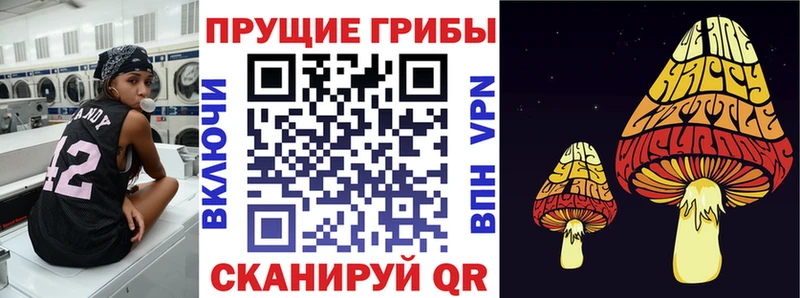 Псилоцибиновые грибы Psilocybe  где найти   Ногинск 
